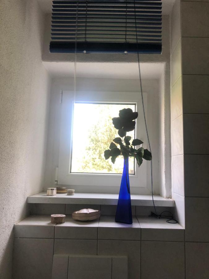Wohlfuehloase Dresden Nickernアパートメント エクステリア 写真