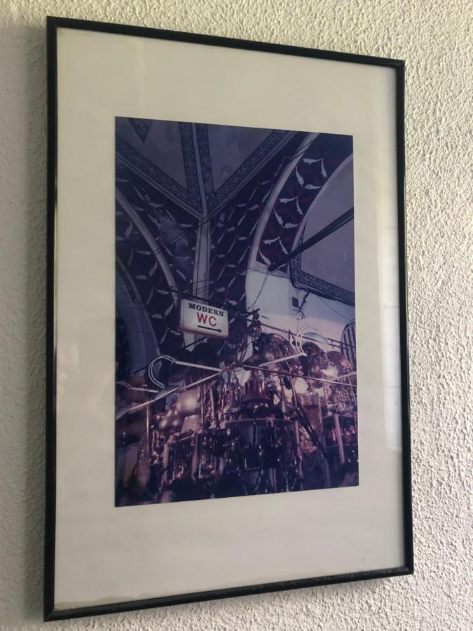 Wohlfuehloase Dresden Nickernアパートメント エクステリア 写真