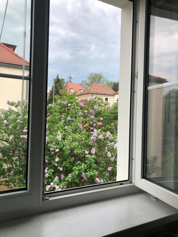 Wohlfuehloase Dresden Nickernアパートメント エクステリア 写真