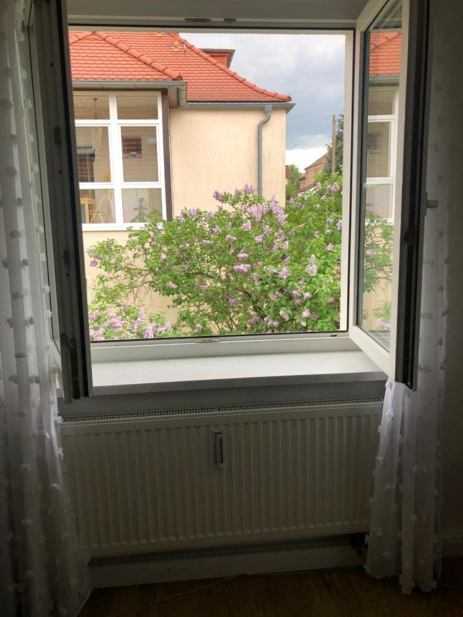 Wohlfuehloase Dresden Nickernアパートメント エクステリア 写真